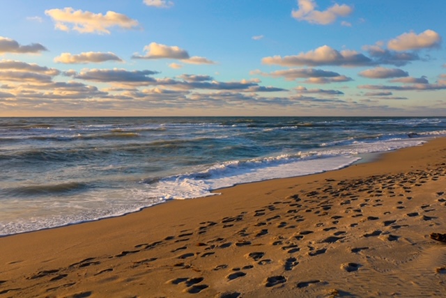 Venice Beach, Fl