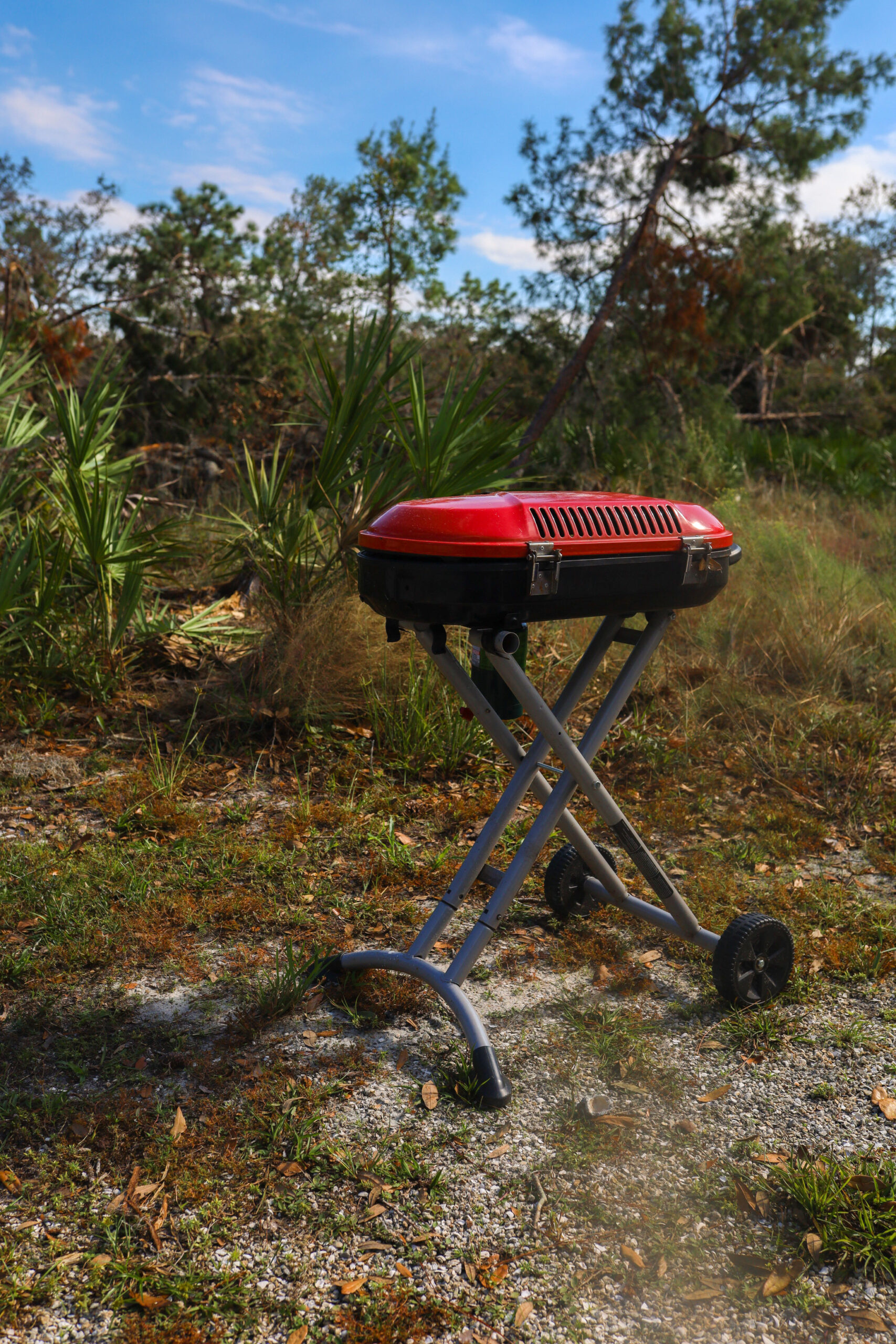 Link to the outdoor grill we love: Coleman RoadTrip 285 Portable Stand-Up Propane Grill, Gas Grill with 3 Adjustable Burners & Instastart Push-Button Ignition