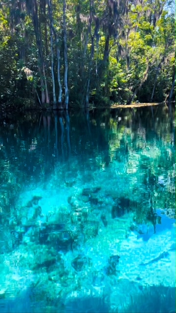 Silver Springs State Park