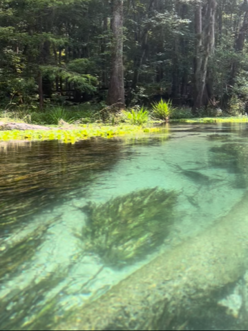 Ichetucknee Springs State Park