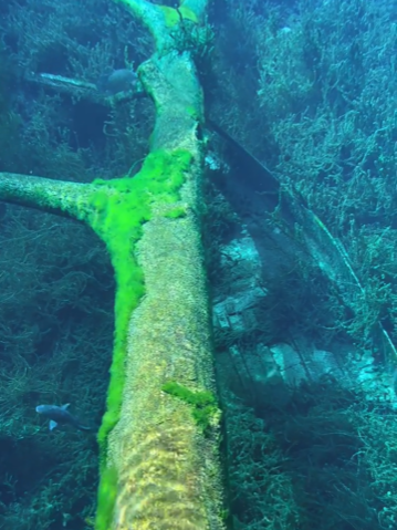 Sunk boat at Silver Springs State Park