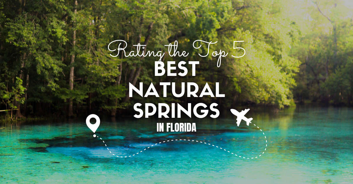 Best Natural Springs in Florida: Rating The Top 5